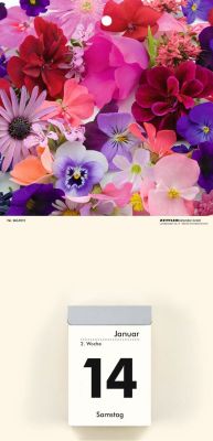 Zettler Kalenderrückwand Blumen - 14,5 x 29,5 cm, 2-fach sortiert 609774