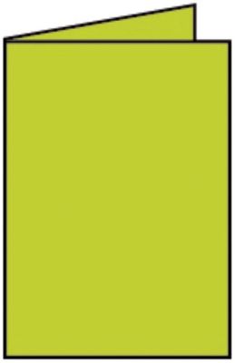 Rössler Papier Coloretti Doppelkarte - B6 hoch, 5 Stück, hellgrün 220719522